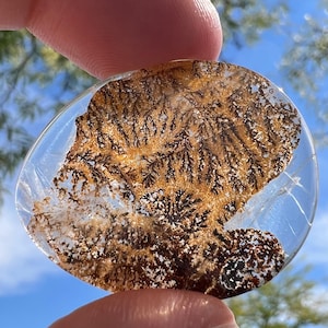 Hematite included dendritic girasol quartz