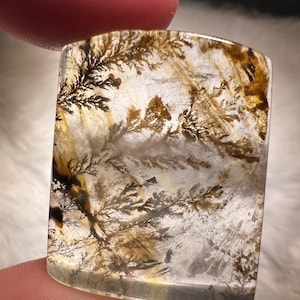 Hematite included dendritic girasol quartz