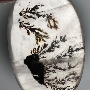 Phenomenal dendritic girasol quartz palmstone