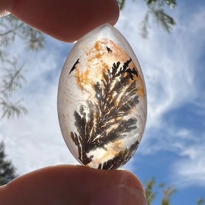 Thick dendritic girasol quartz with hematite