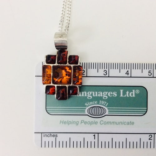 Amber shops Pendant/Necklace