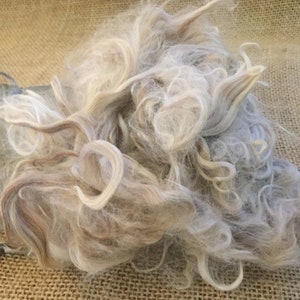May include: A pile of white and light brown wool fibers. The fibers are soft and fluffy, and they are perfect for spinning or felting.
