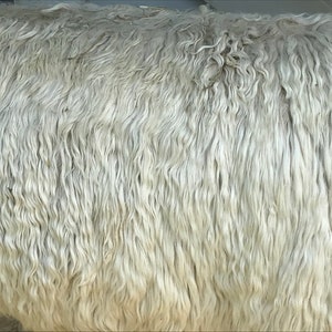 May include: Close-up of white, fluffy sheep wool. The wool is soft and textured, with a wavy pattern.