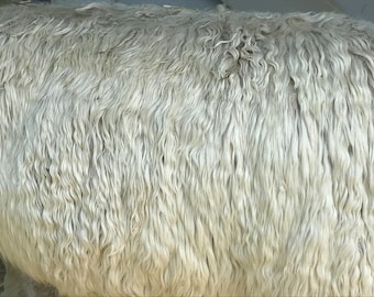 Raw White Suri Alpaca Fiber - 1 lb for Spinning & Felting