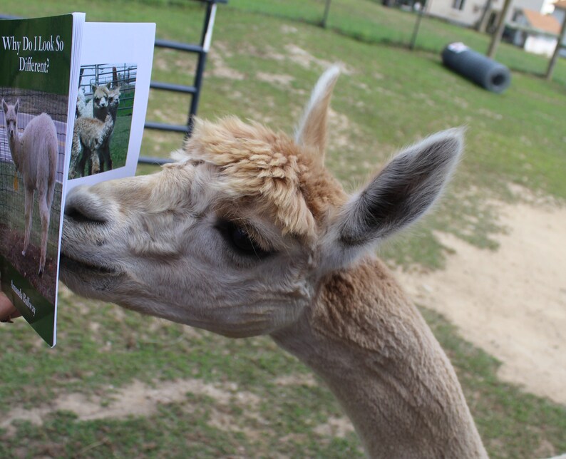 Why Do I Look so Different Etsy