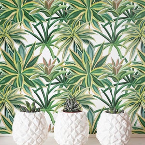 Succulents Wallpaper, Removable Wallpaper, Self-adhesive Wallpaper, Cactus Wall Décor, Jungle Wallcovering JW_100 image 1