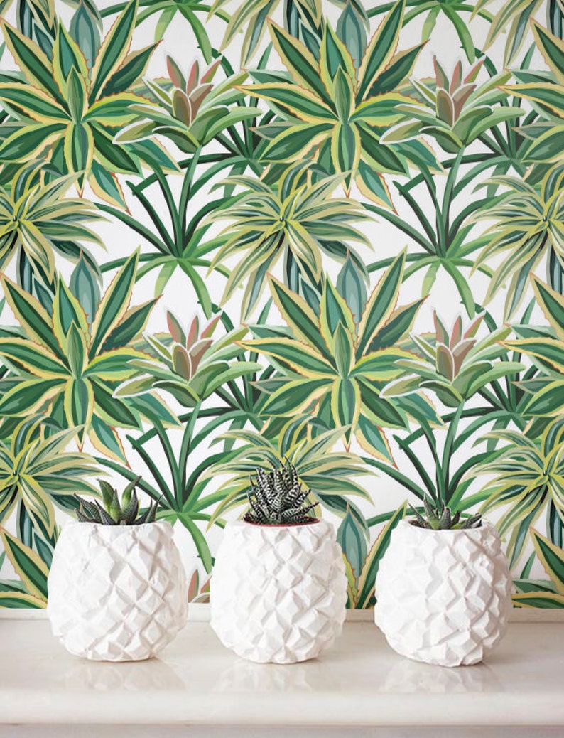 Succulents Wallpaper, Removable Wallpaper, Self-adhesive Wallpaper, Cactus Wall Décor, Jungle Wallcovering JW_100 image 1