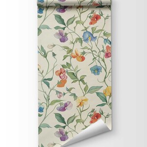 May include: A roll of wallpaper featuring a botanical pattern on a cream background. The design displays climbing vines with green leaves and multi-colored sweet pea flowers in shades of purple, blue, orange, red, and yellow, with one corner curled.