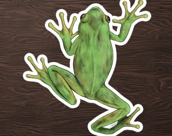 Sticker Grenouille (coloré)