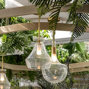 Könnte beinhalten: Zwei transparente Glas-Pendelleuchten mit geripptem Design hängen von der Decke. Die Leuchten haben einen goldfarbenen Stiel und sind von grünem Laub umgeben. Die Lichter sind beleuchtet und strahlen ein warmes Licht aus.