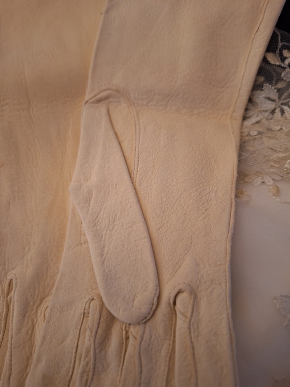 vintage Doeskin gloves creamy leather soft s… Gem