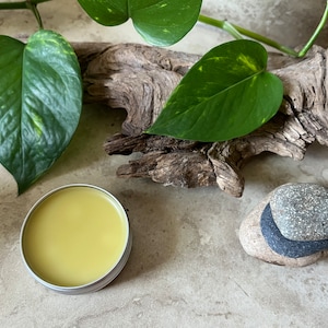 Balm of Gilead 1 oz. Wild-Harvested Herbs | Lip Balm | Body Balm | Skin Moisturizer | Wound Healer | Soothing Salve | Natural Chapstick