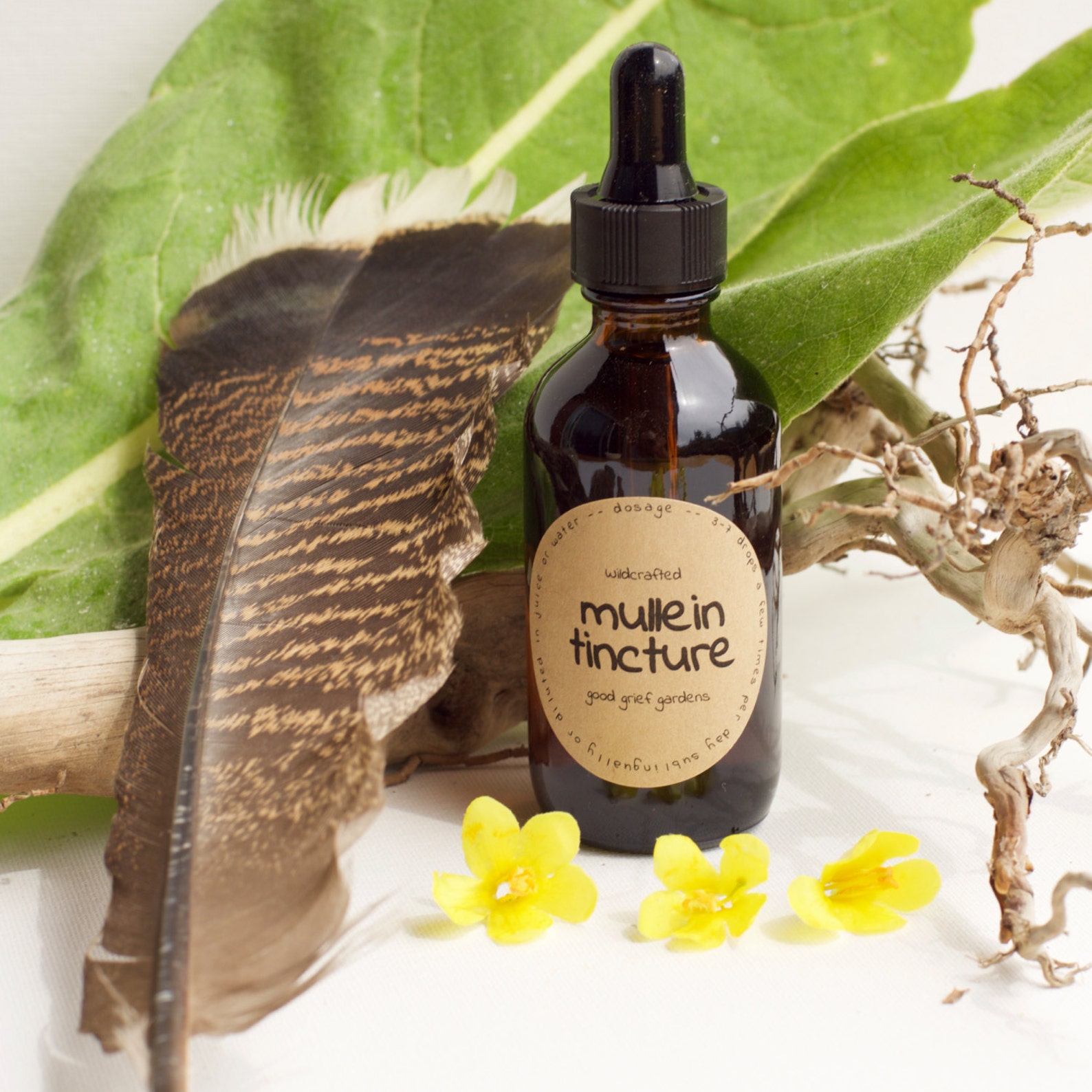 Mullein Tincture 2 Oz. verbascum Thapsus Mullein Extract - Etsy UK