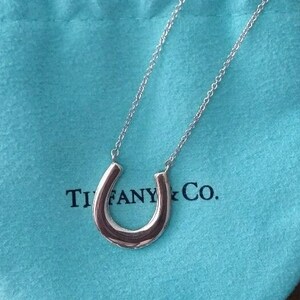 Tiffany 1837 horseshoe pendant hot sale