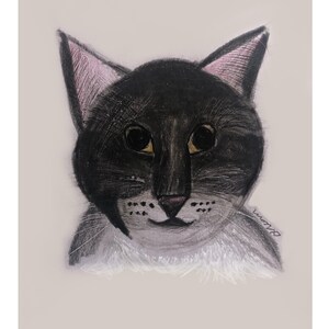 May include: A black and white cat with pink ears, looking directly at the viewer. The cat has yellow eyes and a white patch on its chest.