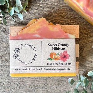 Sweet Orange Hibiscus