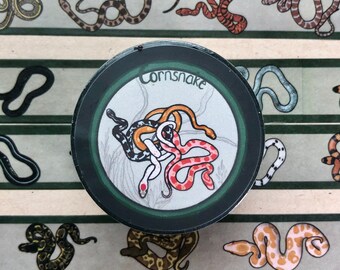 Sticky Scales, Soles & Slimers Washi Tape - snake, lizard, gecko, frog, spider, tarantula, isopod designs