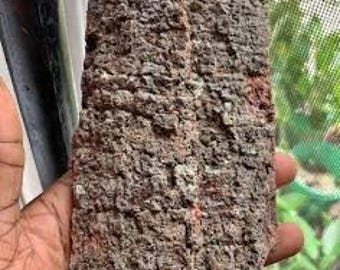 May include: A piece of rough, textured bark with a dark brown and reddish-brown color. The bark is held in a hand, and the background shows a window with a screen and greenery.
