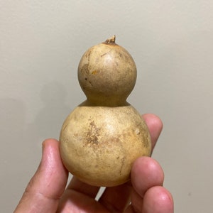 Igba ado medicine gourds Large 5” inches