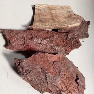 Eepo (bark) Obi (kola nítida)