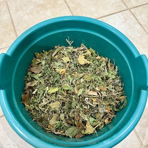 Ewe Ẹrọ/Leaves to wash Ifá (DRY LEAVES!)