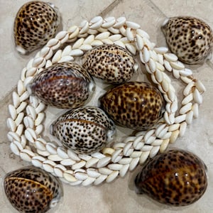 Ensemble Orisa Aje Ogungunniso