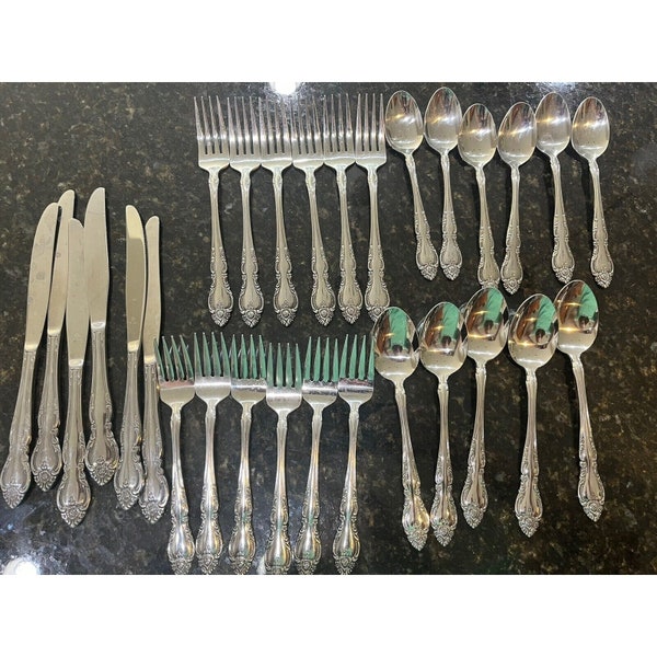 Oneida Northland Stainless Flatware 36 Piece Service for 6 Silverware Vtg Japan