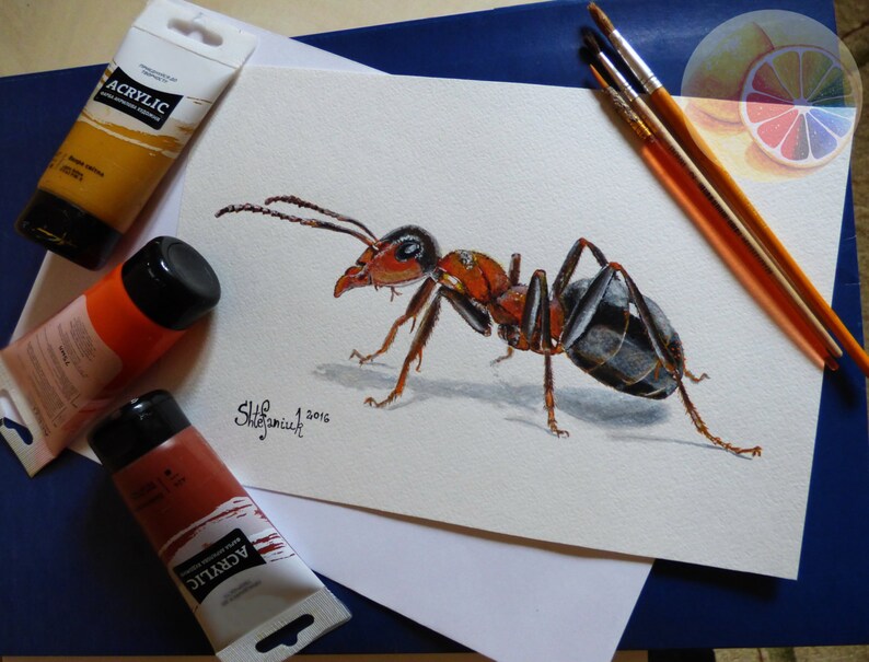 Red Ant Painting Ant Painting 8x12 Acrylic on | Etsy