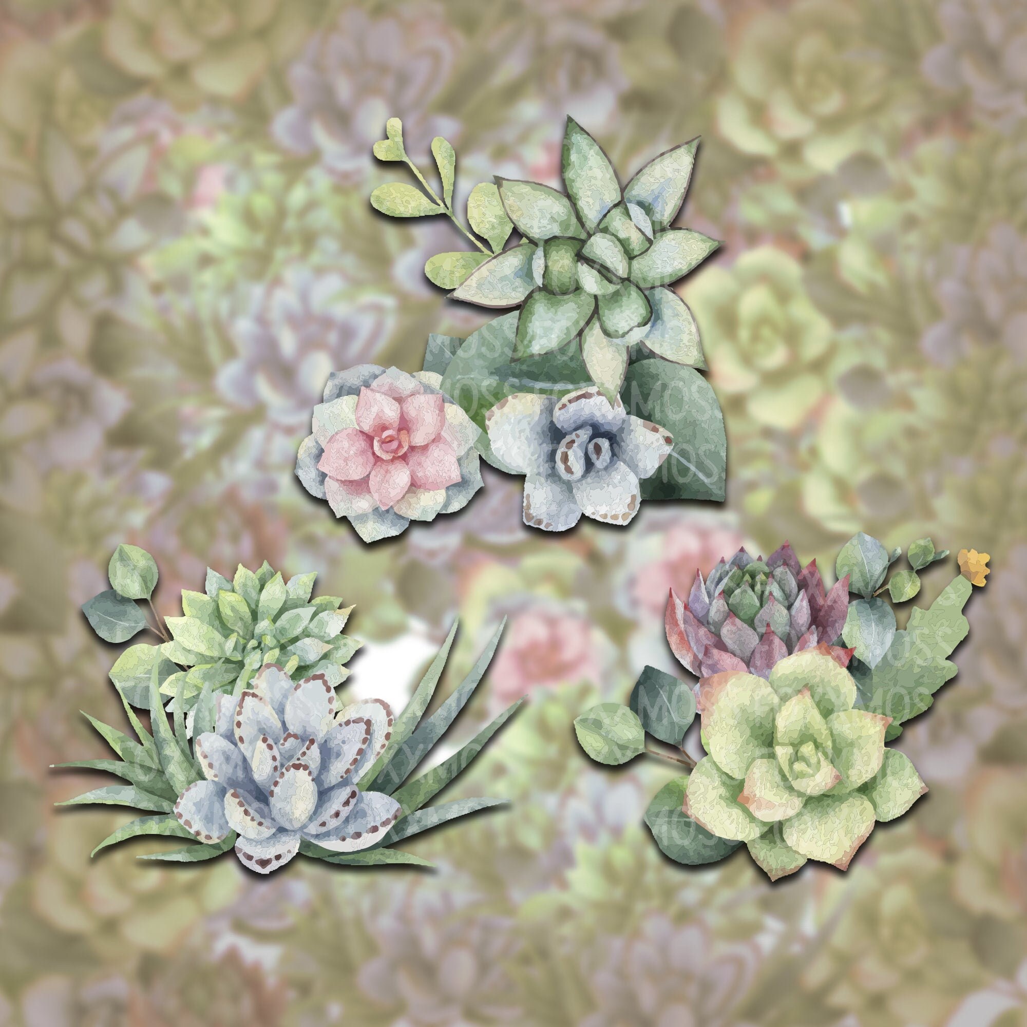 Download Watercolor Succulent Svg Etsy