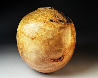 Wooden Vase BIG Spalted Sycamore Burr 16 x14 inches
