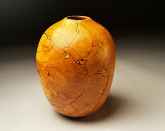 Spalted Beech Vase 11 x 8 inches