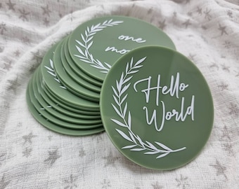 Baby milestone discs