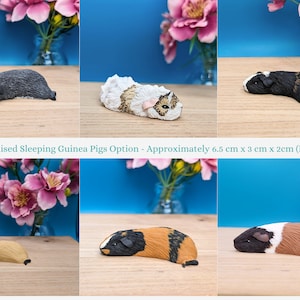 Personalised Mini Guinea Pig Figurine, Pet Memorial Gift, Personalised Pet Portrait, Miniature Ornament 2 x Sleeping Piggies