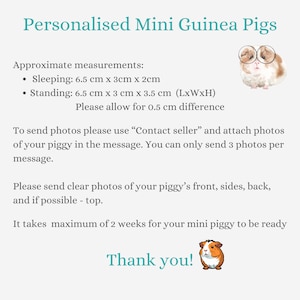 Personalised Mini Guinea Pig Figurine, Pet Memorial Gift, Personalised Pet Portrait, Miniature Ornament image 10