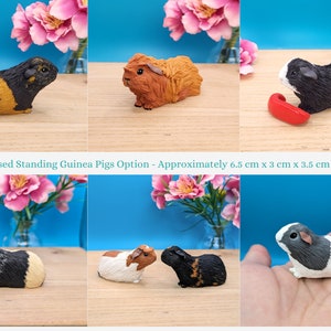 Personalised Mini Guinea Pig Figurine, Pet Memorial Gift, Personalised Pet Portrait, Miniature Ornament image 3