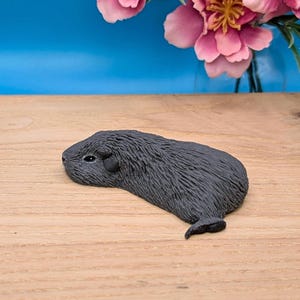 Sleeping Grey Guinea Pig Sculpture, Handmade Pet Portrait (Teddy/Rex Breed)