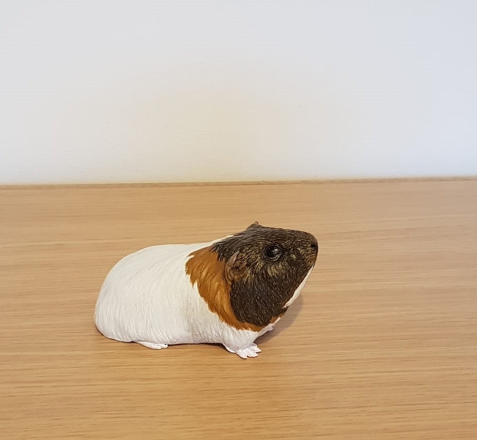 Custom Guinea Pig Memorial Sculpture Etsy