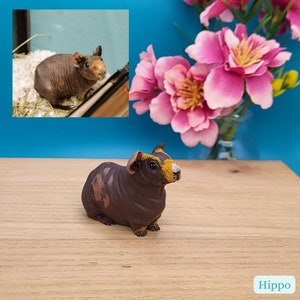 Personalised Mini Guinea Pig Figurine, Pet Memorial Gift, Personalised Pet Portrait, Miniature Ornament image 7
