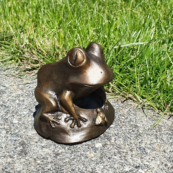 Frogs Funny Figurine Statue Ornament Comical Frog Sculpture 'Let me See!'  NEW IN