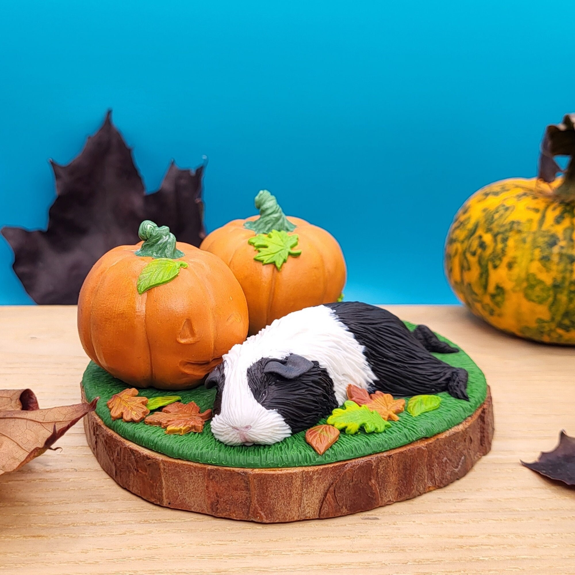 Pumpkin guinea pigs clearance