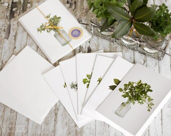 Herbal Stationery Note Cards; Boxed Set of 6 or 12 Folded with White Envelopes