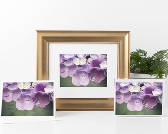 Floral Mother's Day Gift Bundle with Matted Print, Set of 6 Notecards, and Greeting Card Featuring a Photograph of a Purple Hydrangea