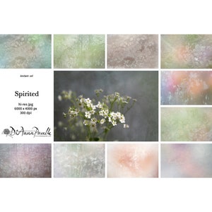 Spirited  Photoshop Texture Set, Photoshop Overlays, Digital Backdrops, Digital Paper