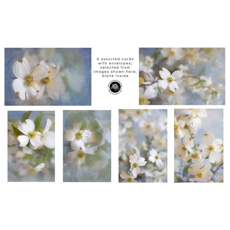 Dogwood Flower Note Cards: Spring Stationery Set - Etsy
