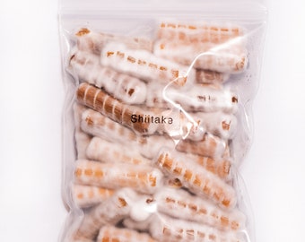 Mushroom dowels(Spawn Plugs) - Shiitake Lentinula Edodes 30 plugs