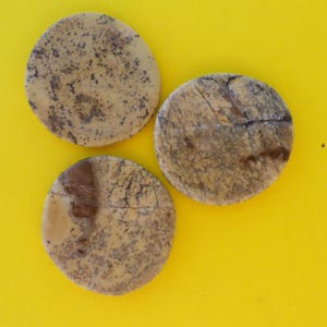 May include: Three round, flat stones with a speckled, tan and brown pattern. The stones have a natural, earthy appearance, with variations in color and texture. The background is a bright yellow.