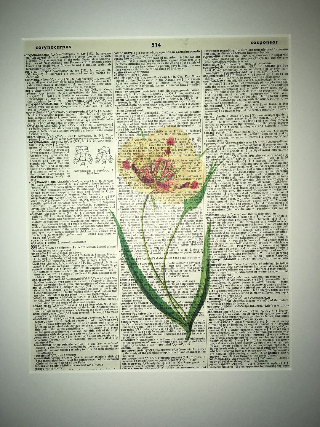 Vintage Sunflower Dictionary Art Print Matted 11x14 - Etsy