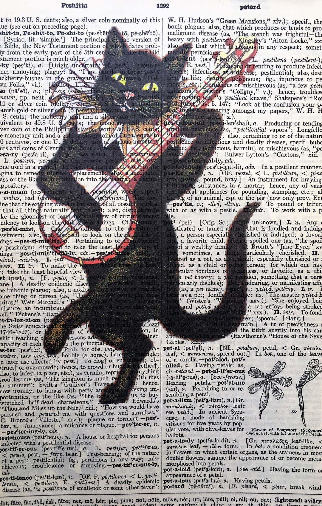 Cat and Banjo Dictionary Art Printfree Customization Available on Any
