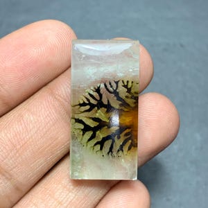 May include: A rectangular, polished gemstone cabochon featuring a translucent, pale green base with a prominent, dark brown, branching dendritic inclusion that resembles a tree or fern pattern, set against a smooth, clear, and glassy surface.