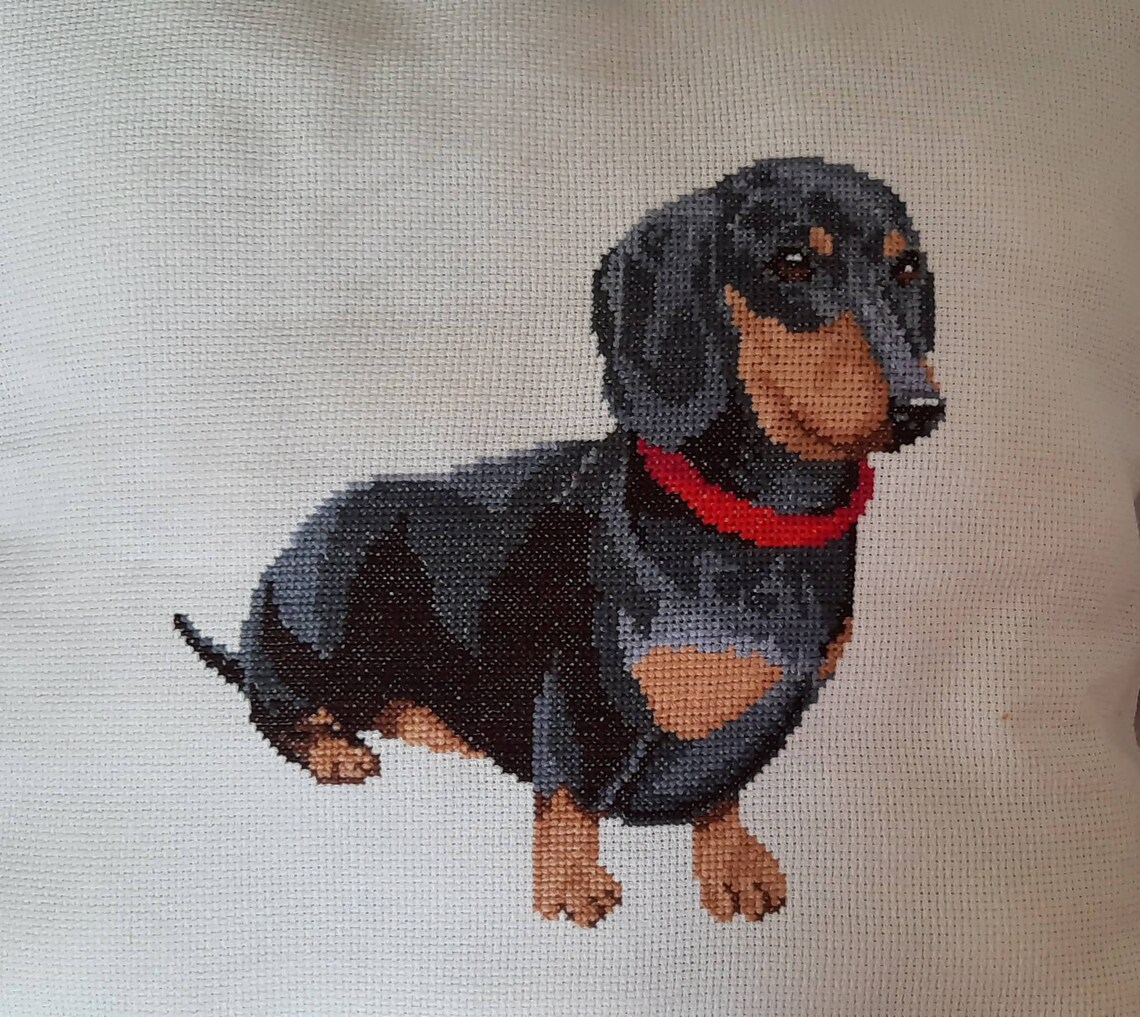 Dachshund cross stitch pattern pdf by AnnaXStitch Doxie hand Etsy